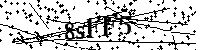 Inserire le lettere e i numeri qui sotto