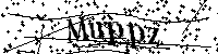 Inserire le lettere e i numeri qui sotto