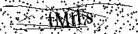 Inserire le lettere e i numeri qui sotto