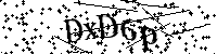 Merci de saisir les lettres et les chiffres ci-dessous