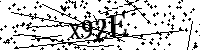Inserire le lettere e i numeri qui sotto