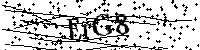 Inserire le lettere e i numeri qui sotto