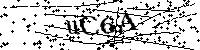 Bitte die Buchstaben und Zahlen unten eingeben