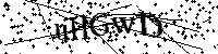Inserire le lettere e i numeri qui sotto