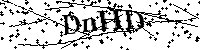 Inserire le lettere e i numeri qui sotto