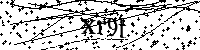 Inserire le lettere e i numeri qui sotto