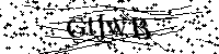 Inserire le lettere e i numeri qui sotto
