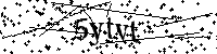 Inserire le lettere e i numeri qui sotto
