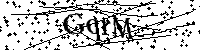 Inserire le lettere e i numeri qui sotto