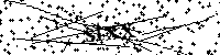 Inserire le lettere e i numeri qui sotto