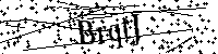 Inserire le lettere e i numeri qui sotto