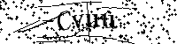 Inserire le lettere e i numeri qui sotto