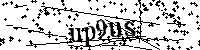 Inserire le lettere e i numeri qui sotto