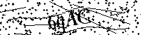Inserire le lettere e i numeri qui sotto