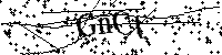 Inserire le lettere e i numeri qui sotto