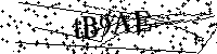 Inserire le lettere e i numeri qui sotto
