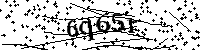 Inserire le lettere e i numeri qui sotto