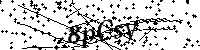Inserire le lettere e i numeri qui sotto