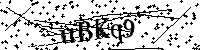 Inserire le lettere e i numeri qui sotto