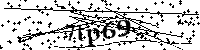 Inserire le lettere e i numeri qui sotto