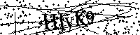 Inserire le lettere e i numeri qui sotto