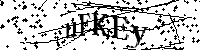 Inserire le lettere e i numeri qui sotto