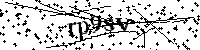 Inserire le lettere e i numeri qui sotto