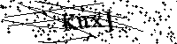 Inserire le lettere e i numeri qui sotto