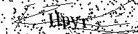 Bitte die Buchstaben und Zahlen unten eingeben