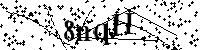 Inserire le lettere e i numeri qui sotto