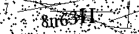 Inserire le lettere e i numeri qui sotto