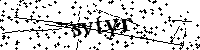 Inserire le lettere e i numeri qui sotto