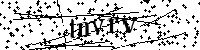 Inserire le lettere e i numeri qui sotto