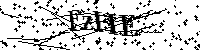 Inserire le lettere e i numeri qui sotto