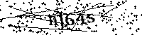 Inserire le lettere e i numeri qui sotto