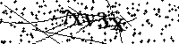 Inserire le lettere e i numeri qui sotto