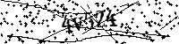 Inserire le lettere e i numeri qui sotto