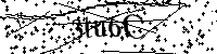 Inserire le lettere e i numeri qui sotto