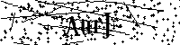 Bitte die Buchstaben und Zahlen unten eingeben
