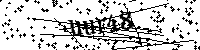 Inserire le lettere e i numeri qui sotto