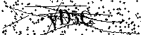 Inserire le lettere e i numeri qui sotto
