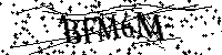 Bitte die Buchstaben und Zahlen unten eingeben