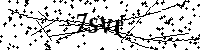Bitte die Buchstaben und Zahlen unten eingeben
