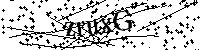 Inserire le lettere e i numeri qui sotto