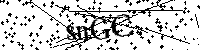 Inserire le lettere e i numeri qui sotto