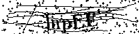 Inserire le lettere e i numeri qui sotto