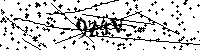 Inserire le lettere e i numeri qui sotto