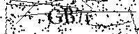 Inserire le lettere e i numeri qui sotto