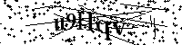 Inserire le lettere e i numeri qui sotto