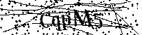 Inserire le lettere e i numeri qui sotto